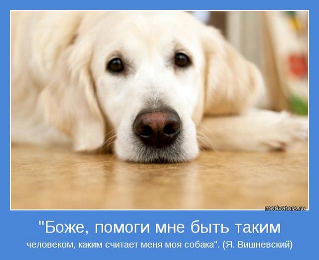 4743317_motivator28552 (640x521, 32Kb)