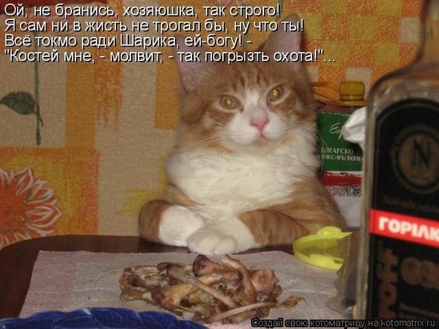 4743317_pic_5 (640x480, 88Kb)