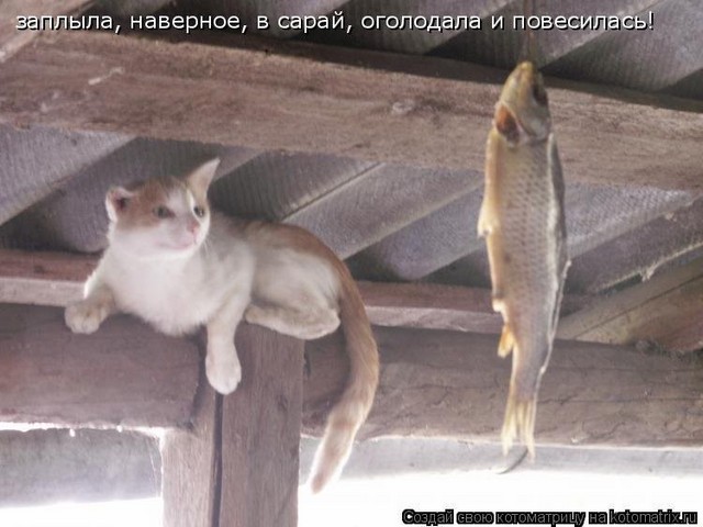 4743317_pic_3 (640x480, 65Kb)