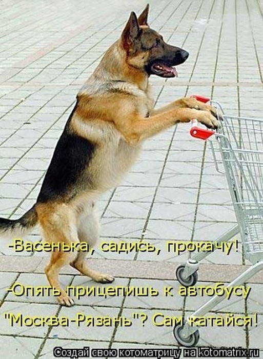 4743317_pic_8 (513x700, 116Kb)