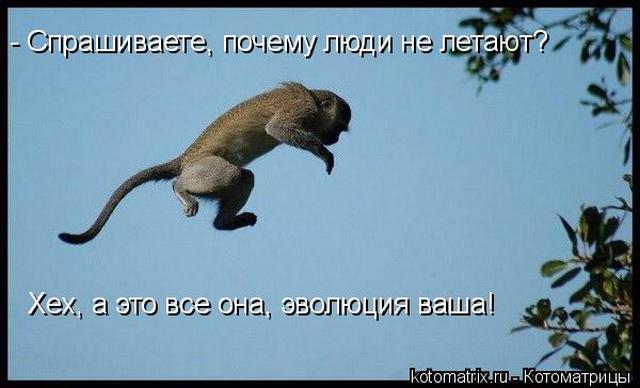 4743317_yW (640x388, 33Kb)