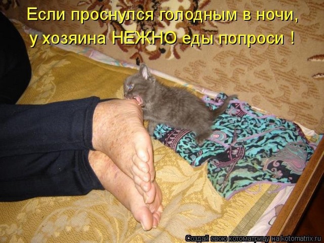 4743317_pic_1 (640x480, 99Kb)