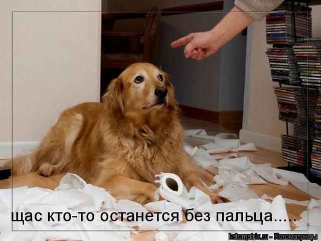 4743317_1o (640x480, 44Kb)