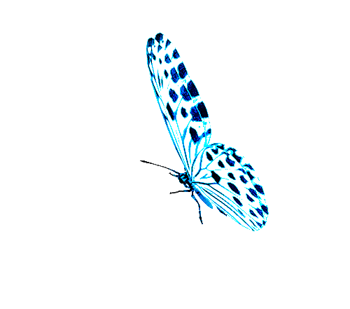 0cd40fdd3e7834ed474126cbcd01ab5e (500x441, 466Kb)