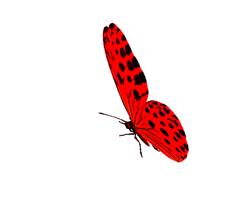 1c797ae4bfb3aa0ec7132cf224898de9 (500x441, 495Kb)