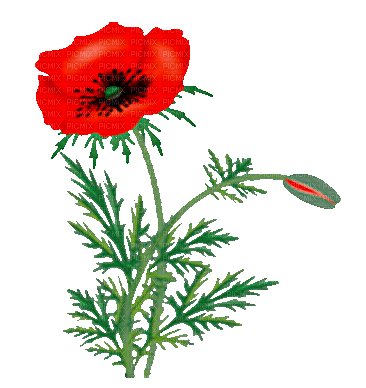 8bf5a67b1768e2e526c086b9633f6b2a (366x388, 780Kb)