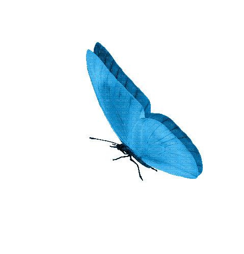 50753446c0156e7ed23586f1dca64714 (479x500, 768Kb)