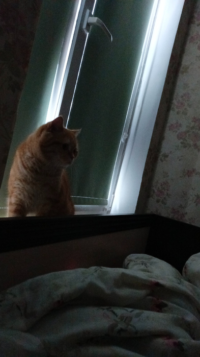 IMG-20250515-WA0006 (393x700, 228Kb)