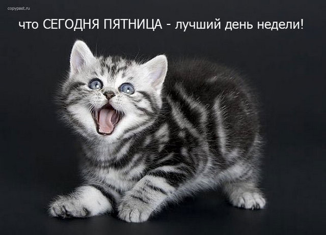 4743317_i24751 (640x462, 50Kb)