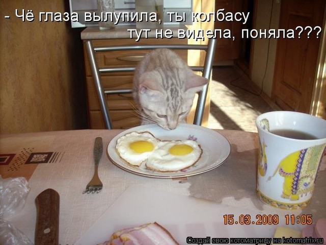 4743317_pic_4 (640x480, 77Kb)