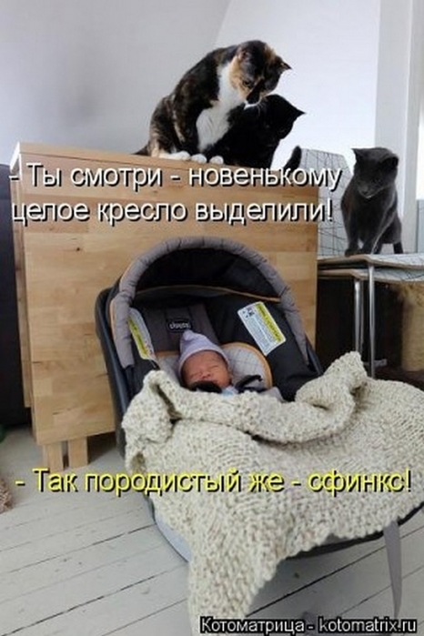 4743317_pic_1 (466x700, 198Kb)