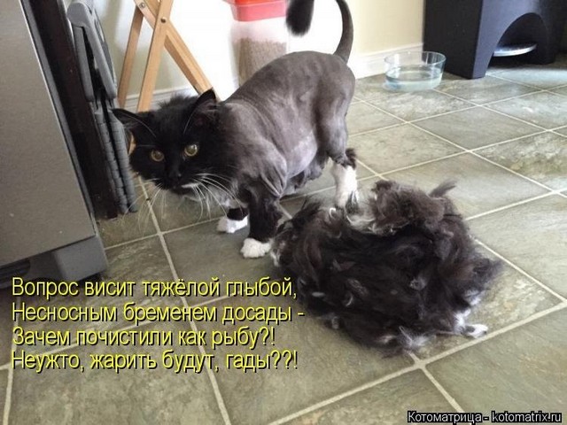 4743317_pic_2 (640x480, 89Kb)