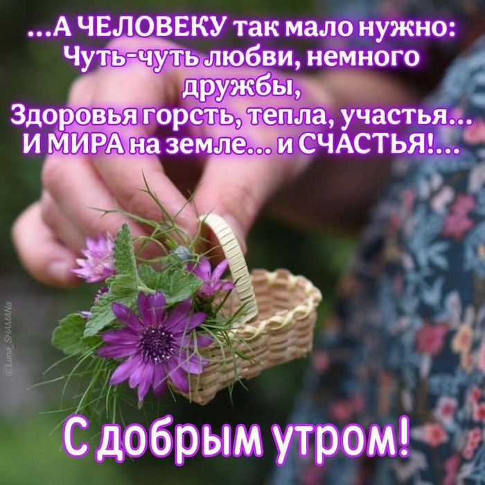IMG-20250513-WA0020 (700x700, 90Kb)