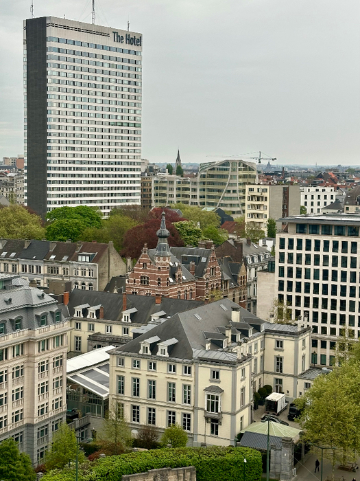 IMG_9420 (525x700, 480Kb)