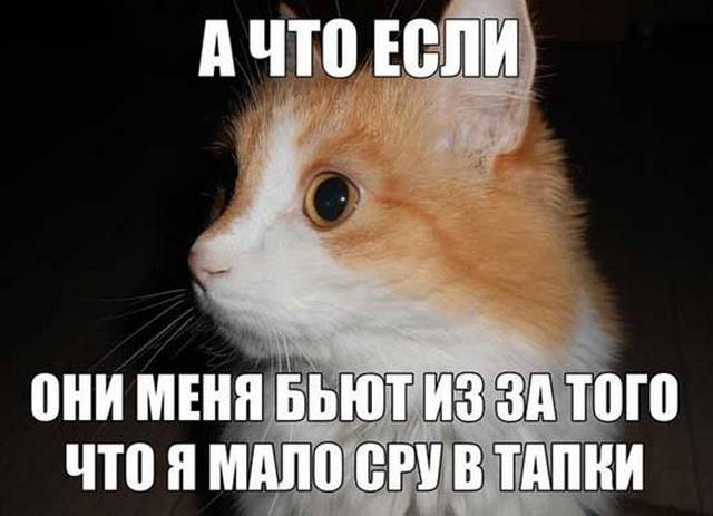 4743317_shutkiprokotov04 (640x463, 34Kb)
