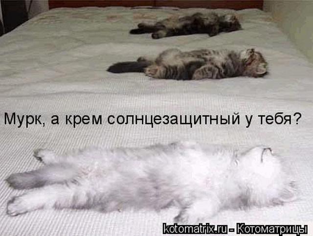 4743317_8B (640x484, 41Kb)