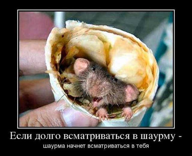 4743317_shutkiproshaurmu (640x520, 40Kb)