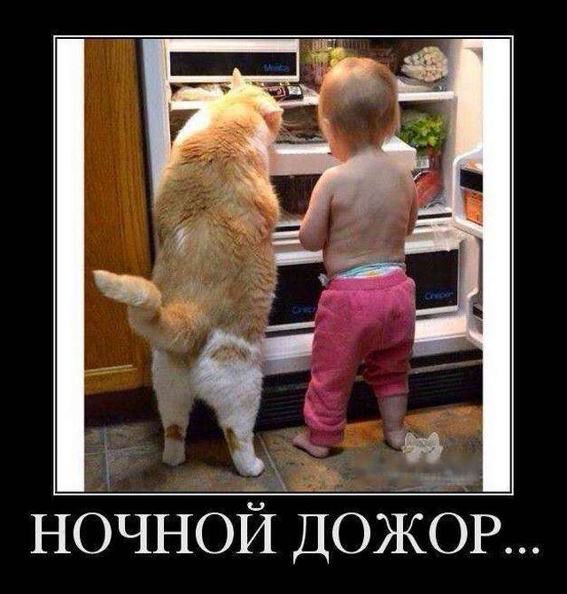 4743317_1442564954_07 (640x671, 49Kb)