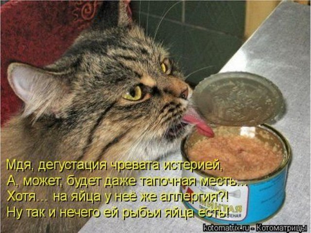 4743317_i24847 (640x479, 77Kb)