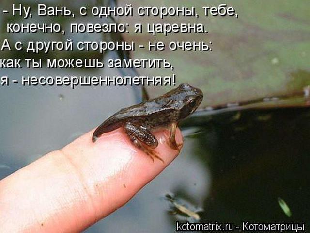 4743317_lq (640x480, 45Kb)