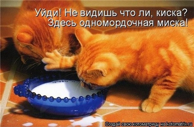 4743317_i23869 (640x419, 82Kb)