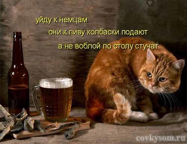 4743317_i23870 (640x492, 72Kb)