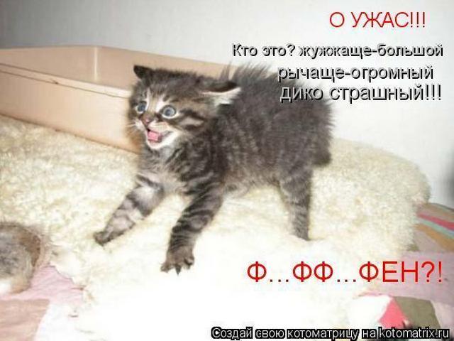4743317_i23868 (640x480, 41Kb)