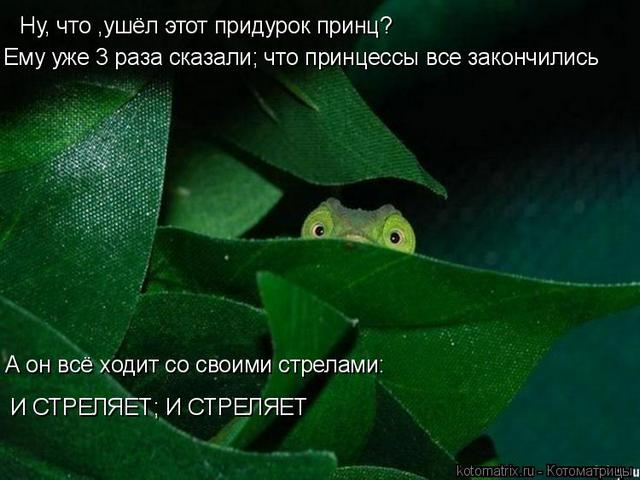 4743317_n (640x480, 45Kb)