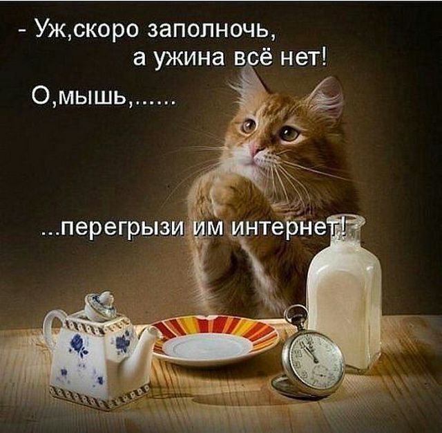4743317_i23867 (640x626, 65Kb)
