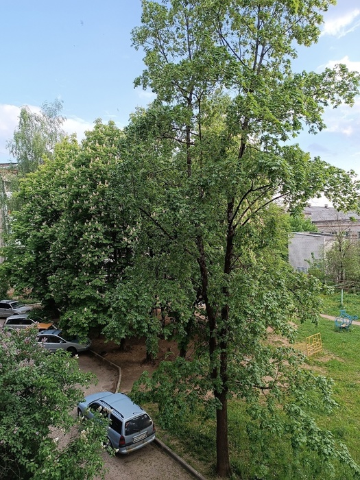 E9xgPpYkO9Y (525x700, 236Kb)