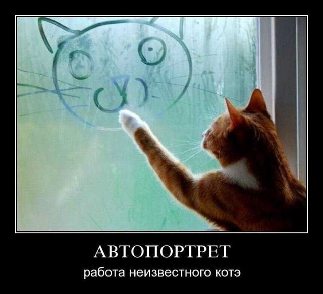 4743317_demotivatory_24 (640x583, 45Kb)
