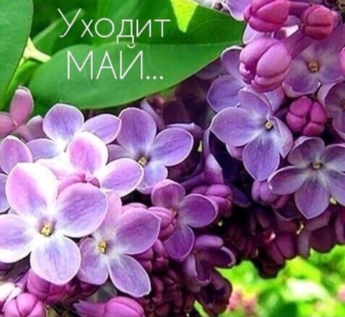 5152557_fyU6q98Cky4 (700x642, 161Kb)