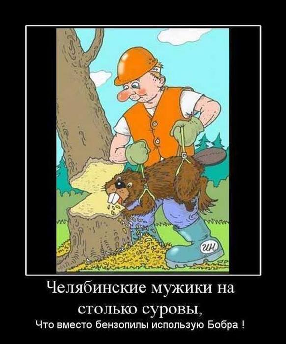 4743317_shutkiprobobrov03 (582x700, 51Kb)