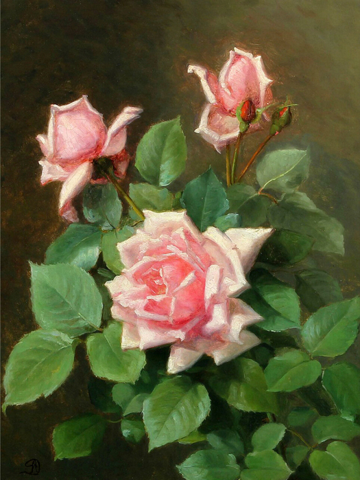 Augusta Dohlmann-Pink roses (525x700, 445Kb)