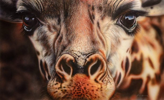 Curious (700x425, 337Kb)