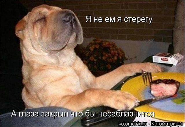 4743317_6X (640x438, 47Kb)