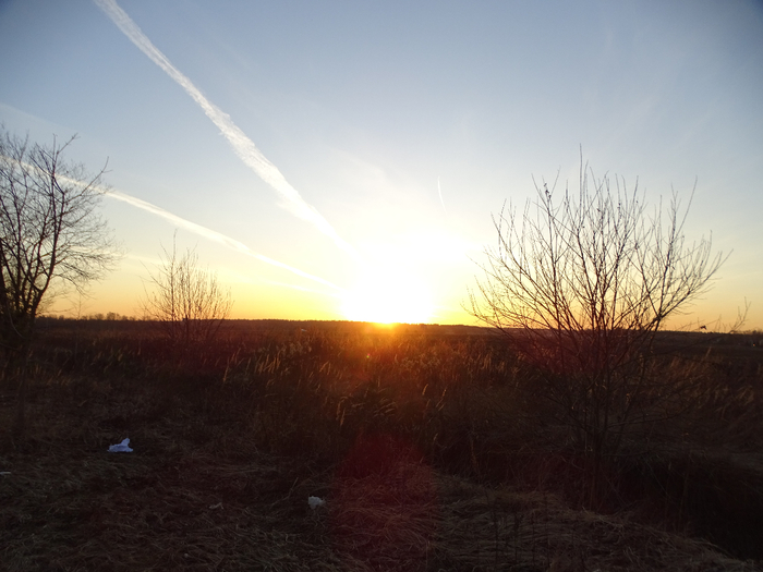 DSC00005 (700x525, 313Kb)