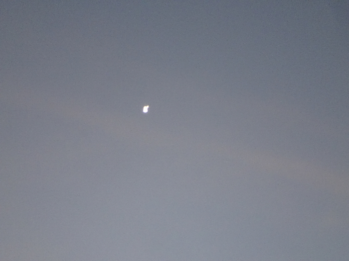 DSC00018 (700x525, 263Kb)