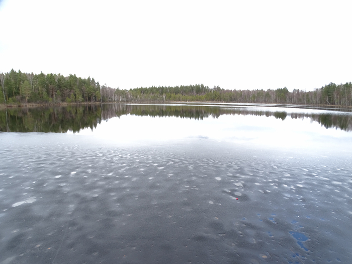 DSC00043 (700x525, 227Kb)