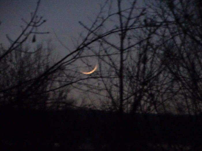 DSC00051 (700x525, 319Kb)