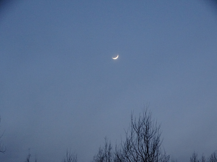 DSC00080 (700x525, 286Kb)