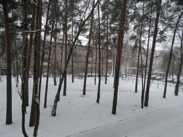 DSC00092 (700x525, 433Kb)