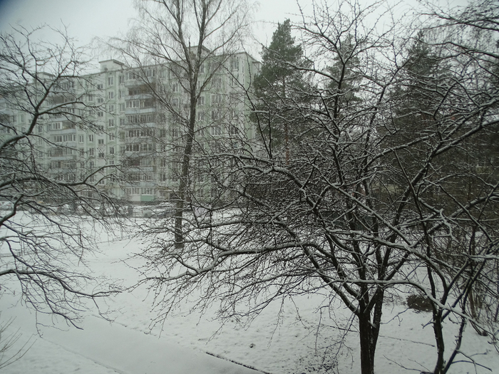 DSC00094 (700x525, 478Kb)