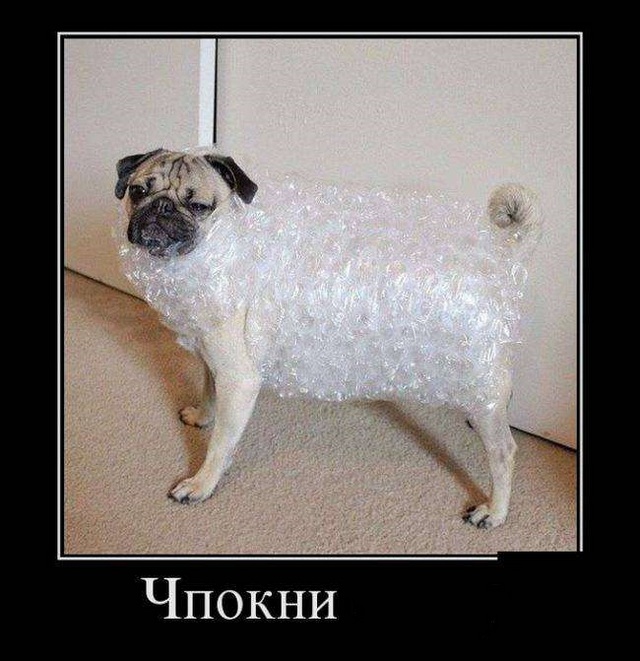 4743317_1442564992_24 (640x661, 119Kb)