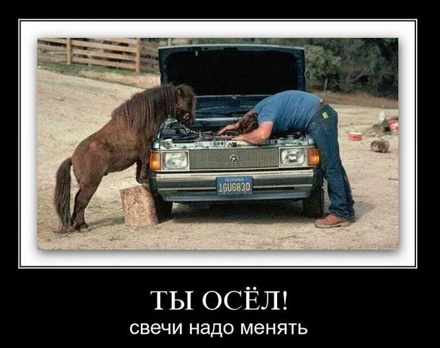 4743317_demotivatry_42 (640x507, 57Kb)
