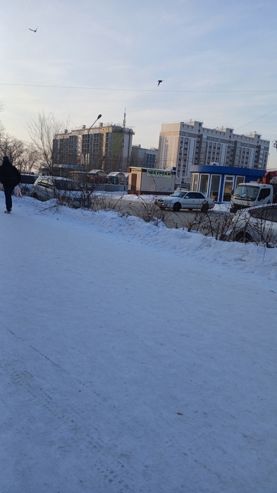 807341_20250121_162854 (393x700, 162Kb)