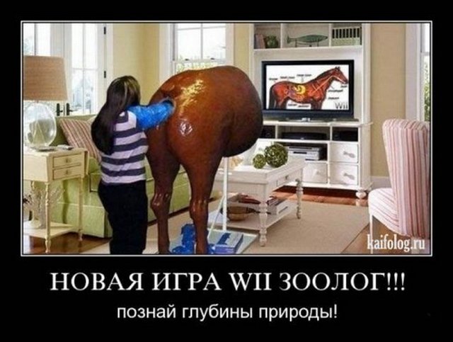 4743317_1254919308_007 (640x483, 54Kb)