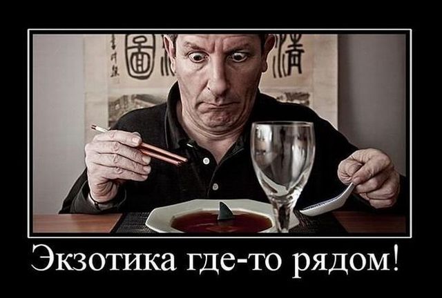 4743317_demotivatory_05 (640x432, 46Kb)