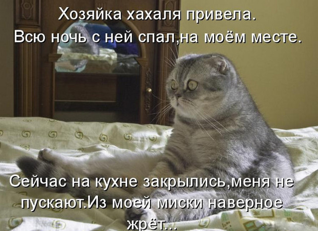 4743317_i24946 (640x466, 95Kb)
