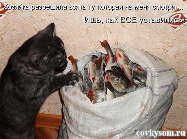 4743317_i24945 (640x477, 79Kb)